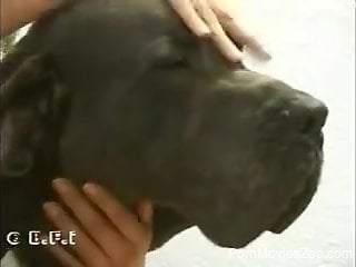 Brunette goes balls to the walls in her first zoo vid
