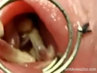 Horny man inserts worms in the penis during jerk off solo