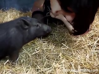 Zoo sex session with a dog and a pig in the barn