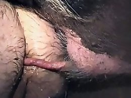 ZOO Porn and bestiality tube