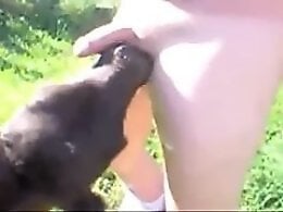 Zoo Zoo Sex Porn